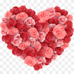 Rose Flower png Images-Love flower arrangement