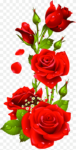  Rose flower png images 18 KBred beauty