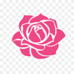 Rose flowers png -Logo