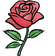 Rose Flower png Image 1